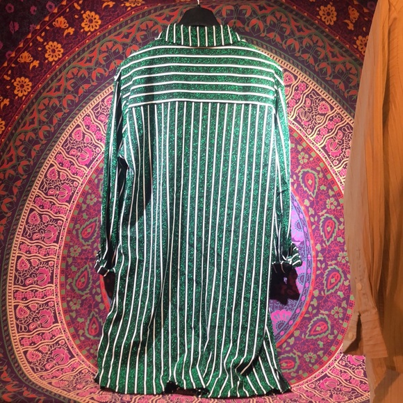 Zara Trafaluc green stripe sparkle button down dress - Picture 3 of 4